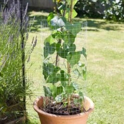 WeldMesh Roll - 13 Mm X 25 Mm Mesh 1 X 5m Galvanised - Smart Garden