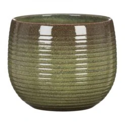 Scheurich Wild Jungle Pot Cover 744/24