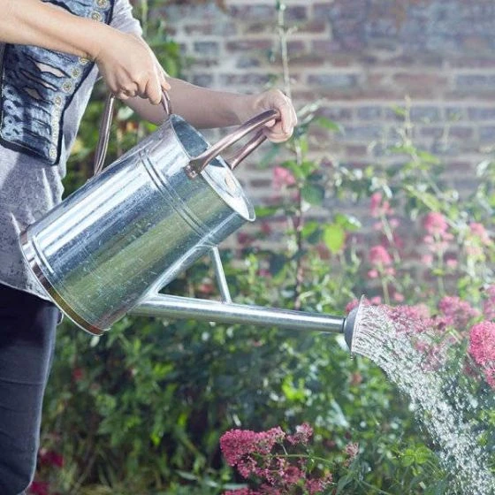 Watering Can - Galvanised 9L - Smart Garden 1 Watering Can - Galvanised 9L - Smart Garden