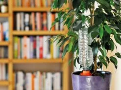 Hozelock Aquasolo 3 Cones + 1 FOC (Orange-pots Up To 10") -Simply Garden Decor aqua