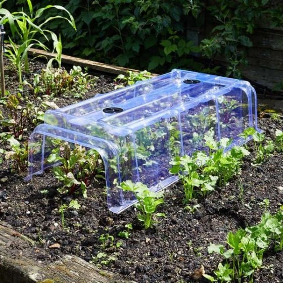 Clear Cloche - Smart Garden 1 Clear Cloche - Smart Garden