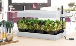 Worth Gardening Grow Light Garden White