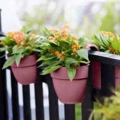 Elho Vibia Campana Flower Twin 21cm - Dusty Pink -Simply Garden Decor elho 2