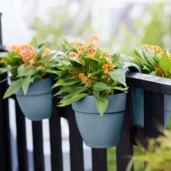 Elho Vibia Campana Flower Twin 21cm - Vintage Blue -Simply Garden Decor elho blue 2