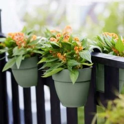 Elho Vibia Campana Flower Twin 21cm - Pistachio -Simply Garden Decor elho green 2