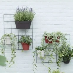 Elho Loft Urban Green Wall Rack - Living Black -Simply Garden Decor elho wall rack 3