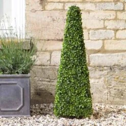 Topiary Boxwood Obelisk 90 Cm - Smart Garden