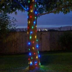 Firefly String Lights - 100 Multi Coloured LEDs - Smart Garden