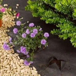 G100 Anti-Weed Fabric - 1 X 15m - Smart Garden