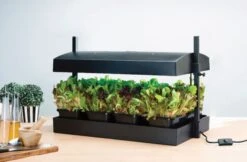 Worth Gardening Grow Light Garden Black