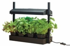 Worth Gardening Micro Grow Light Garden Black -Simply Garden Decor g187b lifestyle 1
