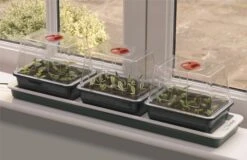 Worth Gardening Trio Top Electric Windowsill Propagator