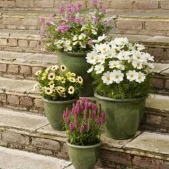 Apta Malay Glazed Planter 29cm -Simply Garden Decor glazed malay square 1