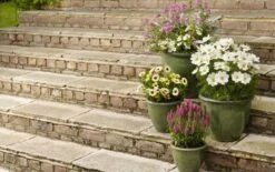 Apta Malay Glazed Planter 24cm