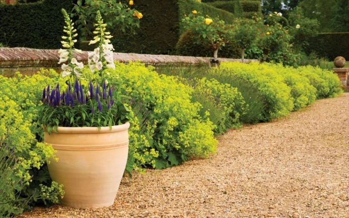 Apta Himalaya Traditional Planter 29cm 1 Apta Himalaya Traditional Planter 29cm