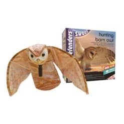 Defenders Hunting Barn Owl