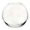 Terrarium Glass Fish Bowl 30x25cm - Growth Technology