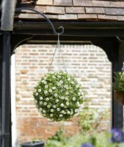 Topiary White Rose Ball