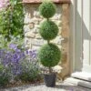 Trio Topiary Tree - 80cm