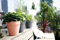 Elho Loft Urban Round 30cm Delicate Pink