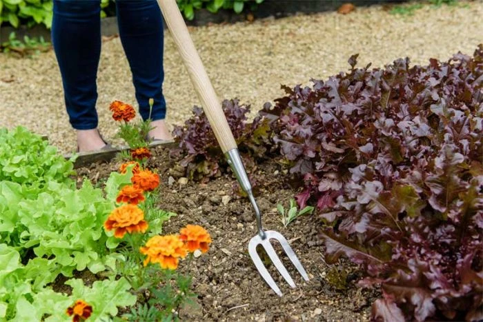 Kent And Stowe Stainless Steel Long Handled Fork 1 Kent And Stowe Stainless Steel Long Handled Fork