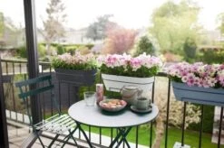 Elho Vibia Campana Trough Allin1 50cm Vintage Blue -Simply Garden Decor vibia campana trough allin1 50cm group