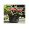 Tom Chambers Whiskey Barrel Planter Large