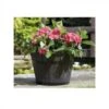 Tom Chambers Whiskey Barrel Planter Small