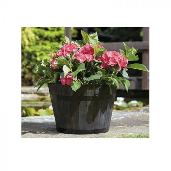 Tom Chambers Whiskey Barrel Planter Medium 1 Tom Chambers Whiskey Barrel Planter Medium